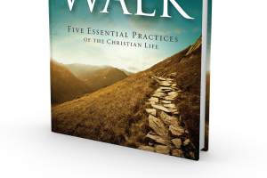 The Walk Cover 3D