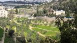 5. Thursday - Garden of Gethsemane